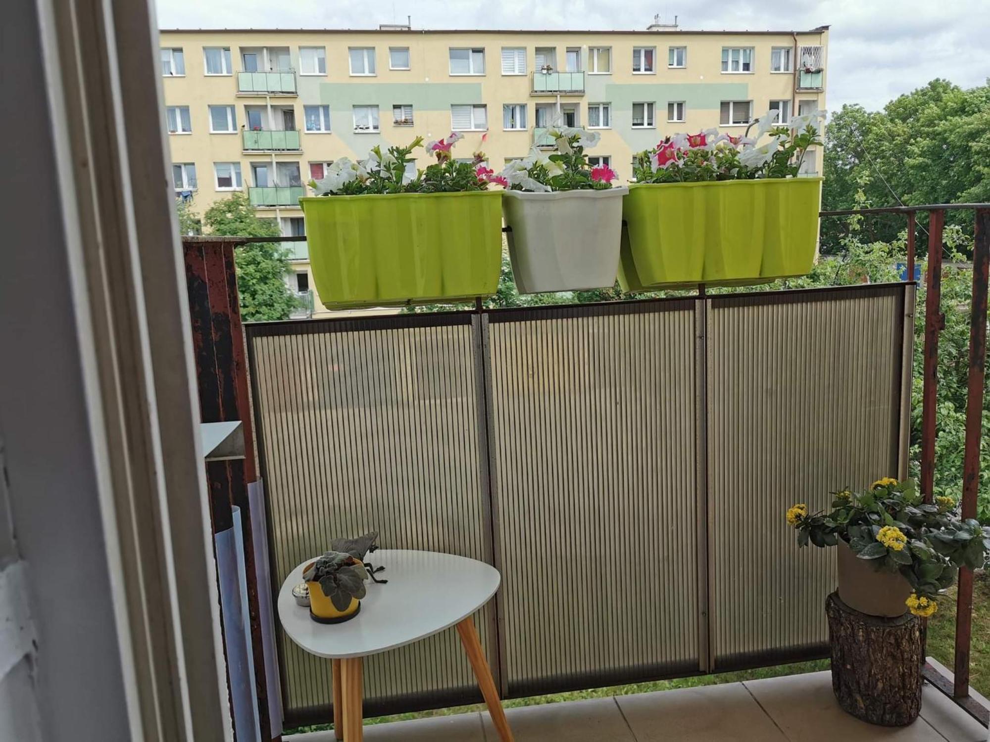 Mieszkanie Brzezno Przy Plazy Gdańsk Extérieur photo