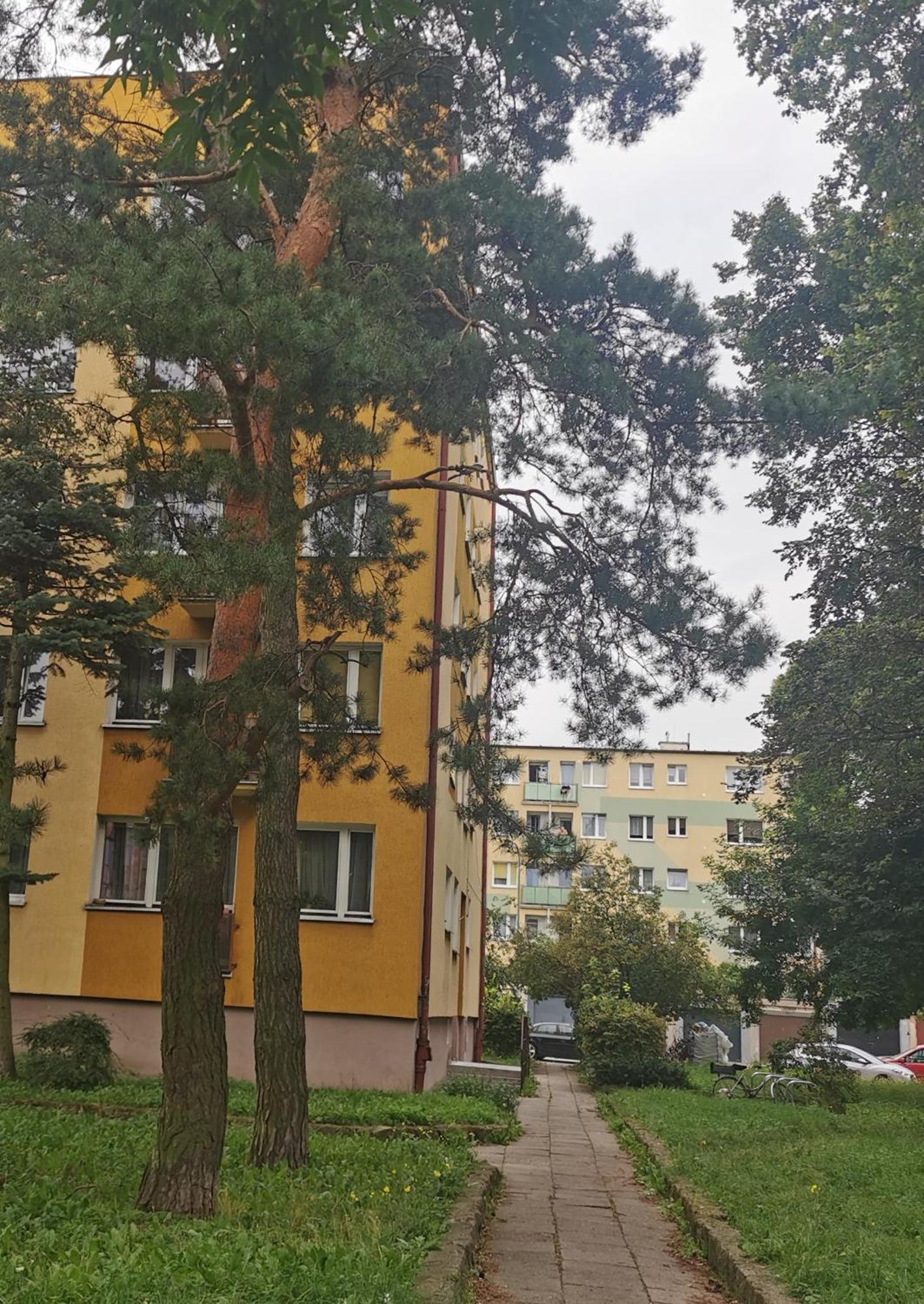 Mieszkanie Brzezno Przy Plazy Gdańsk Extérieur photo